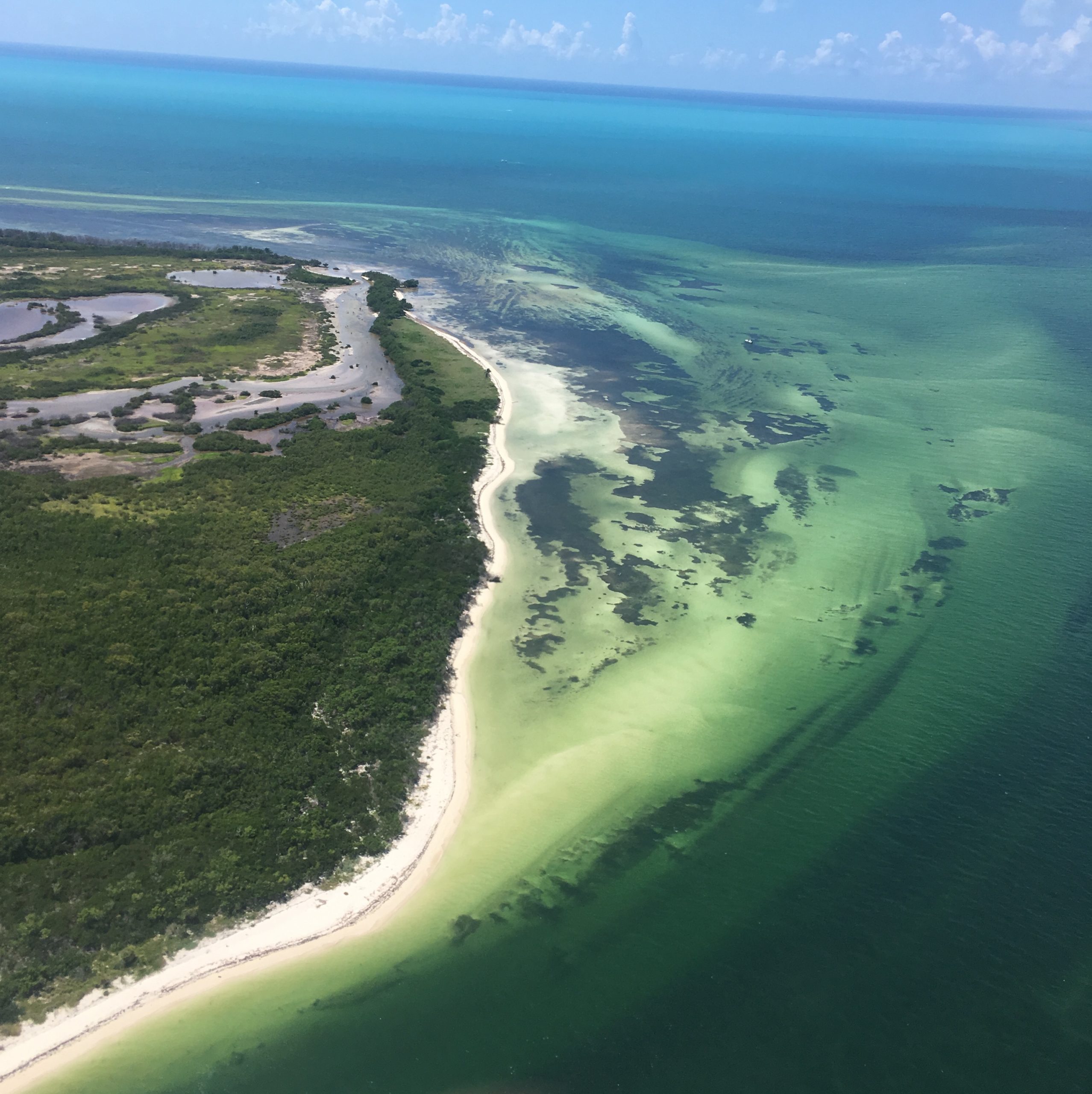 The edge of an island and ocean seen from an airplane