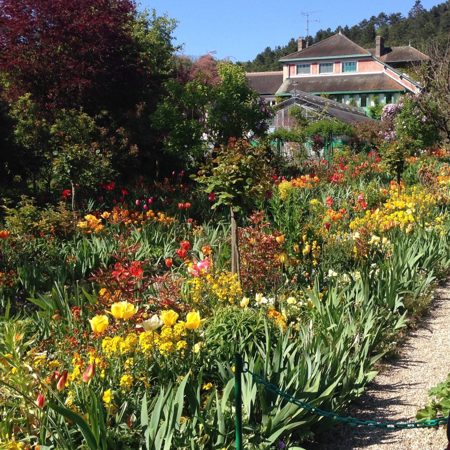 Rows and rows of flowers in bloom in the Giverny gardens